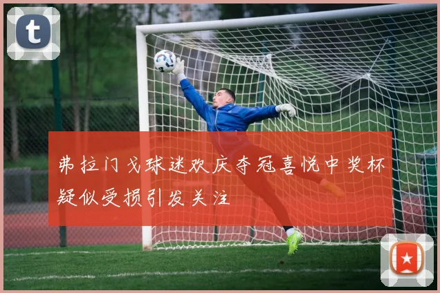弗拉门戈球迷欢庆夺冠喜悦中奖杯疑似受损引发关注