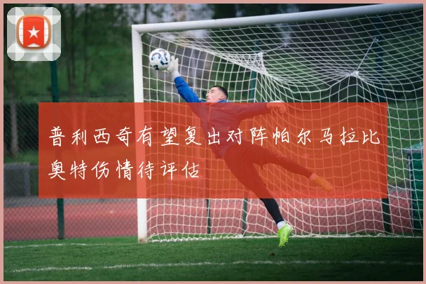 普利西奇有望复出对阵帕尔马拉比奥特伤情待评估