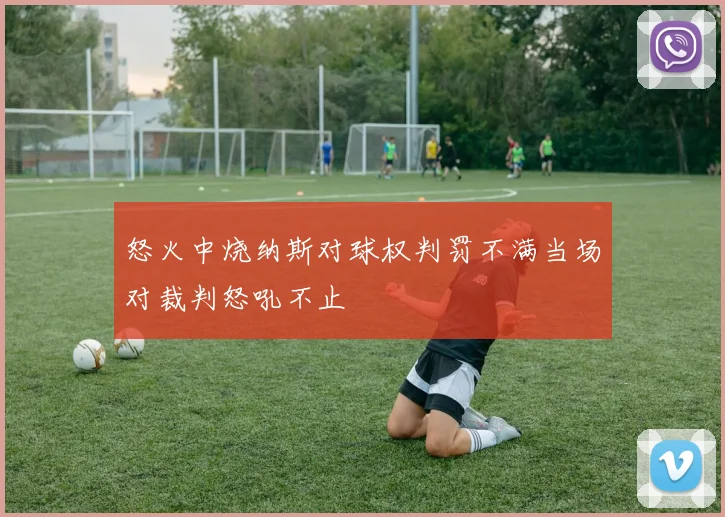 怒火中烧纳斯对球权判罚不满当场对裁判怒吼不止