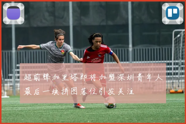 超前锋加里塔即将加盟深圳青年人最后一块拼图落位引发关注