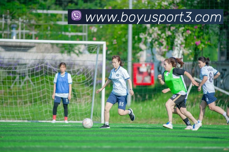 博鱼体育APP 高清赛事图